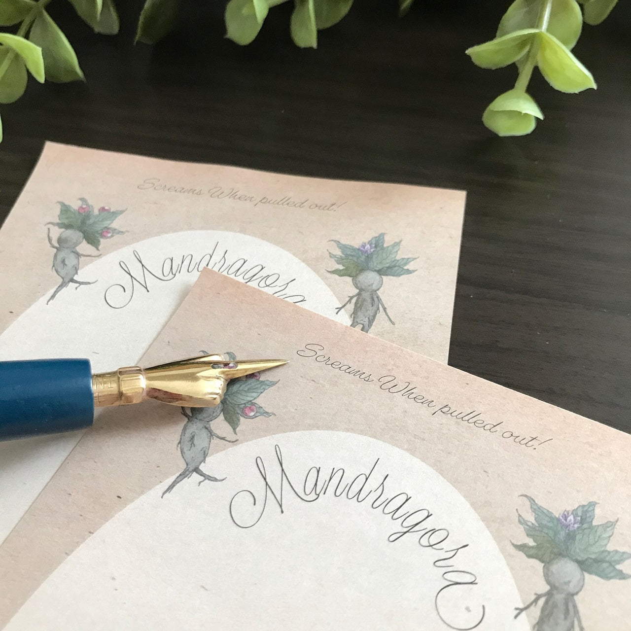 マンドラゴラズ ミニメモパッド