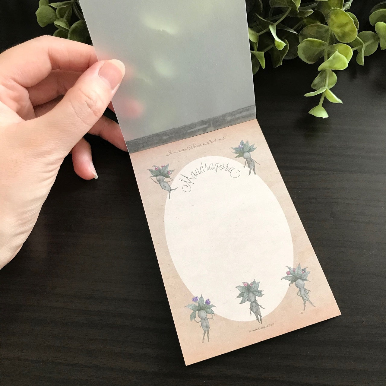 マンドラゴラズ ミニメモパッド