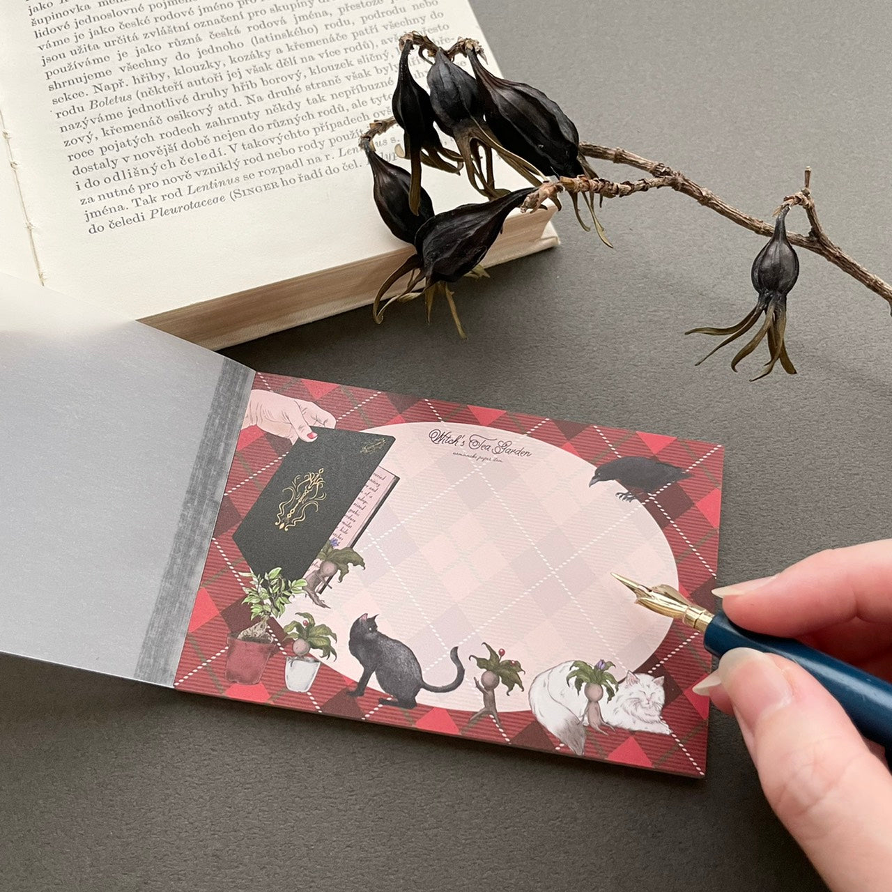 魔女の庭　タータンチェックメモ