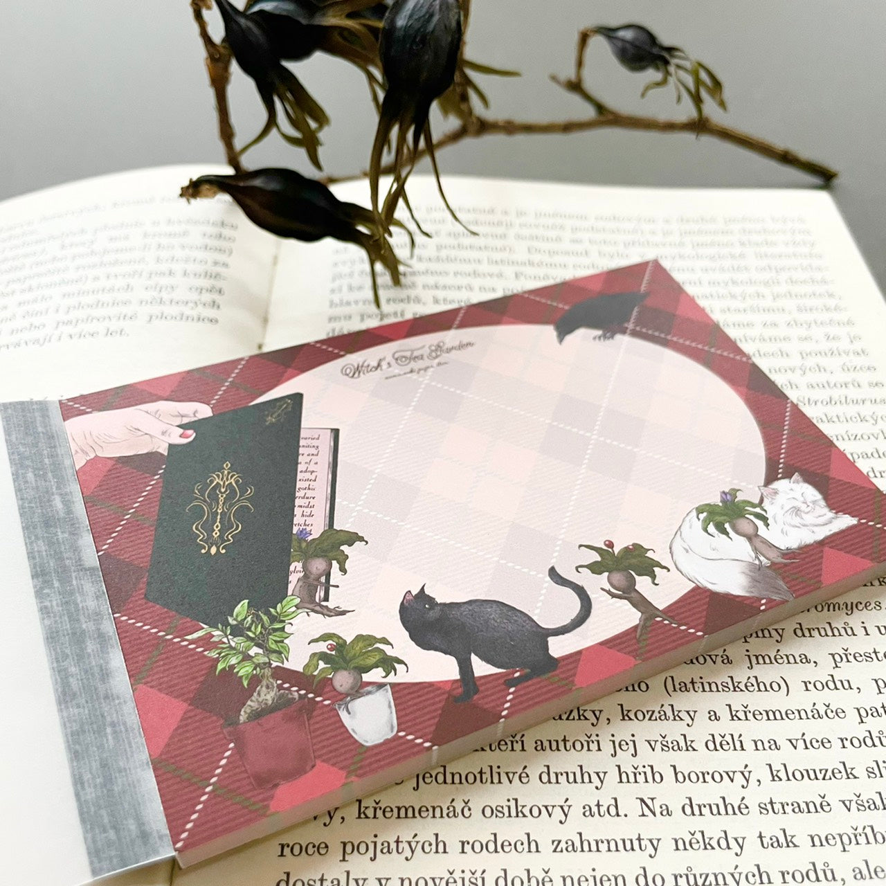 魔女の庭　タータンチェックメモ