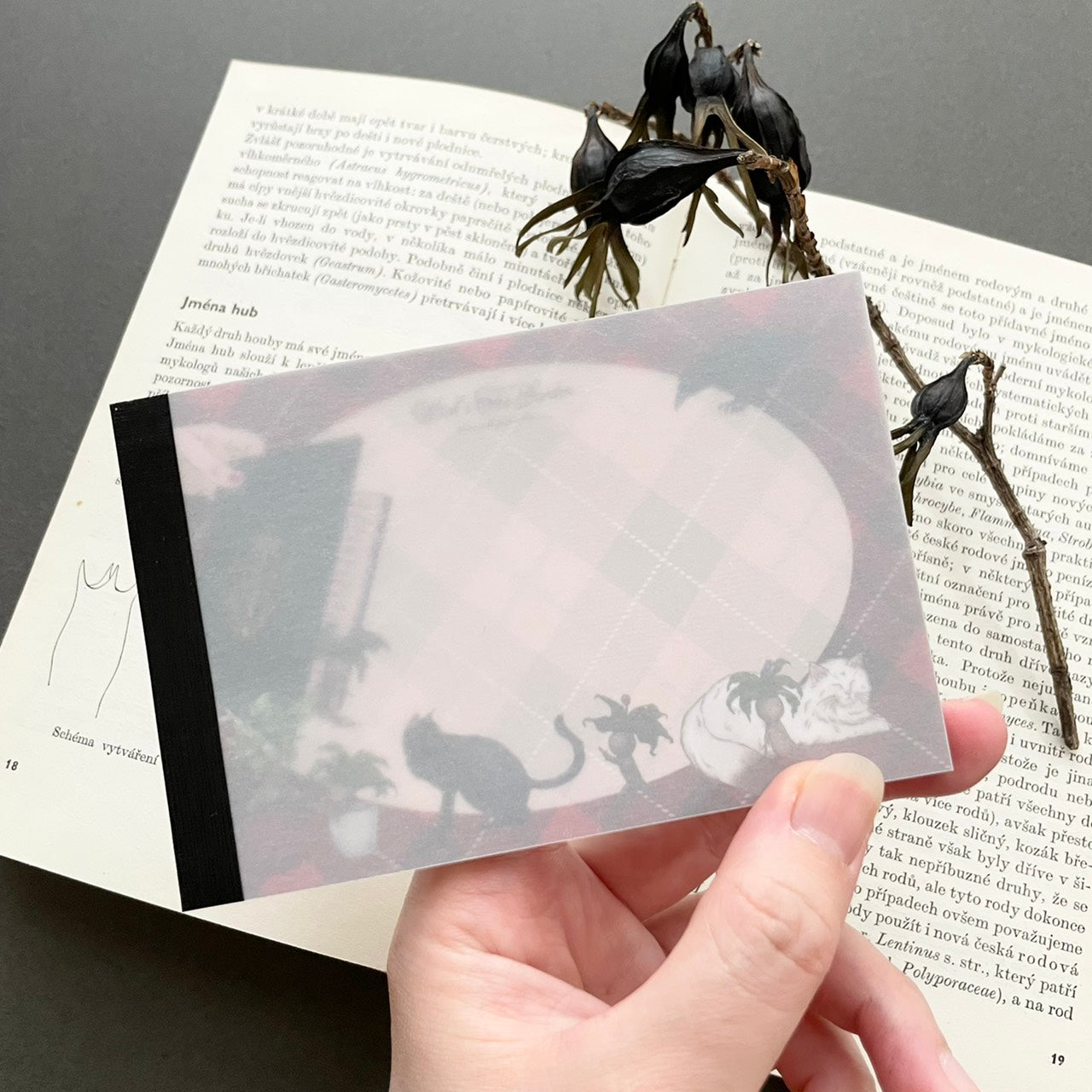 魔女の庭　タータンチェックメモ