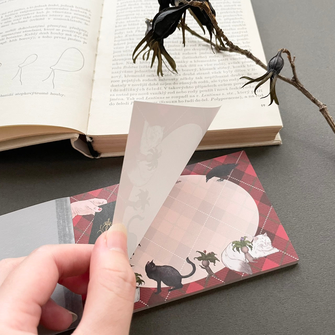 魔女の庭　タータンチェックメモ