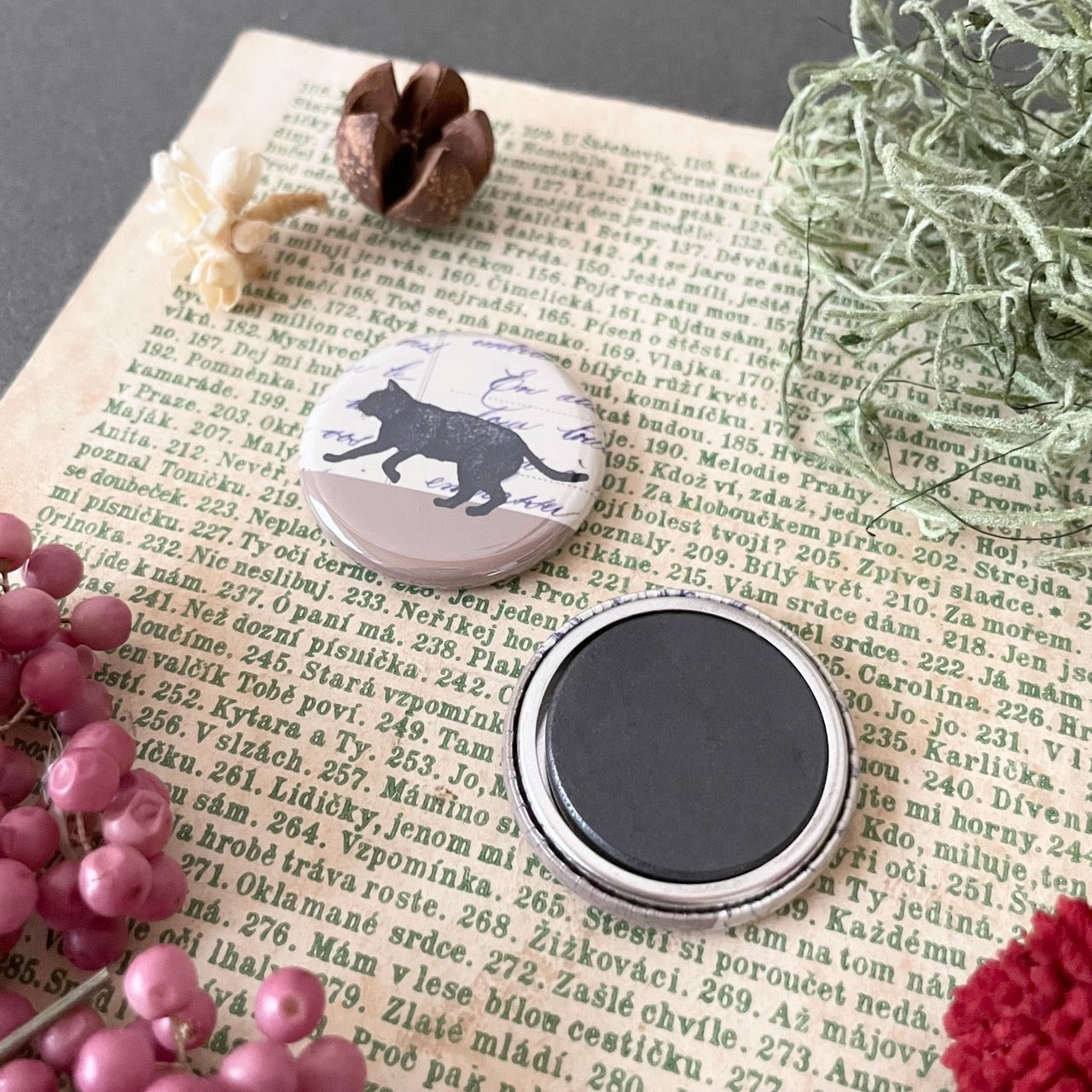 魔女の庭　ヴィヴィとアルのマグネットセット