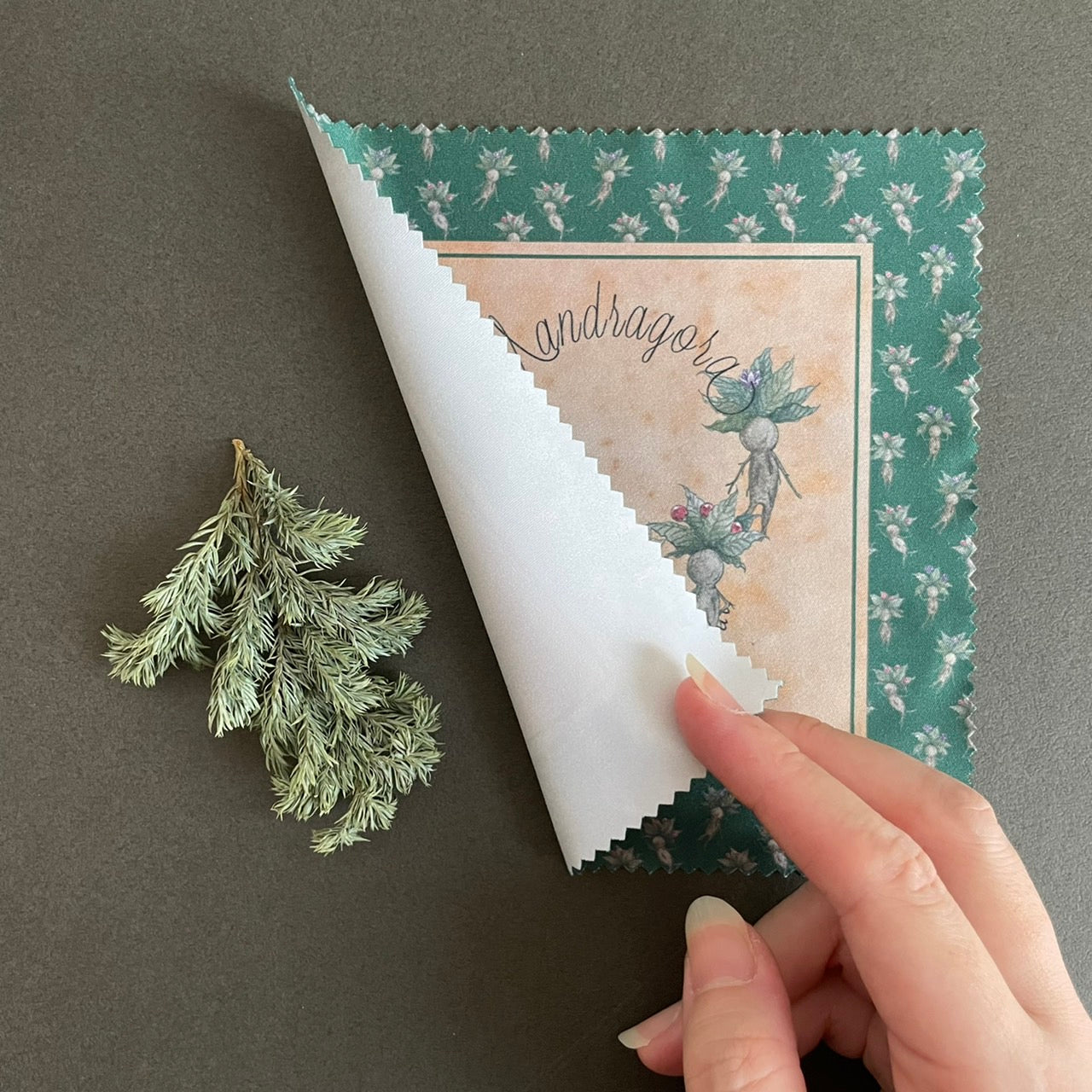 マンドラゴラズ　クリーニングクロス