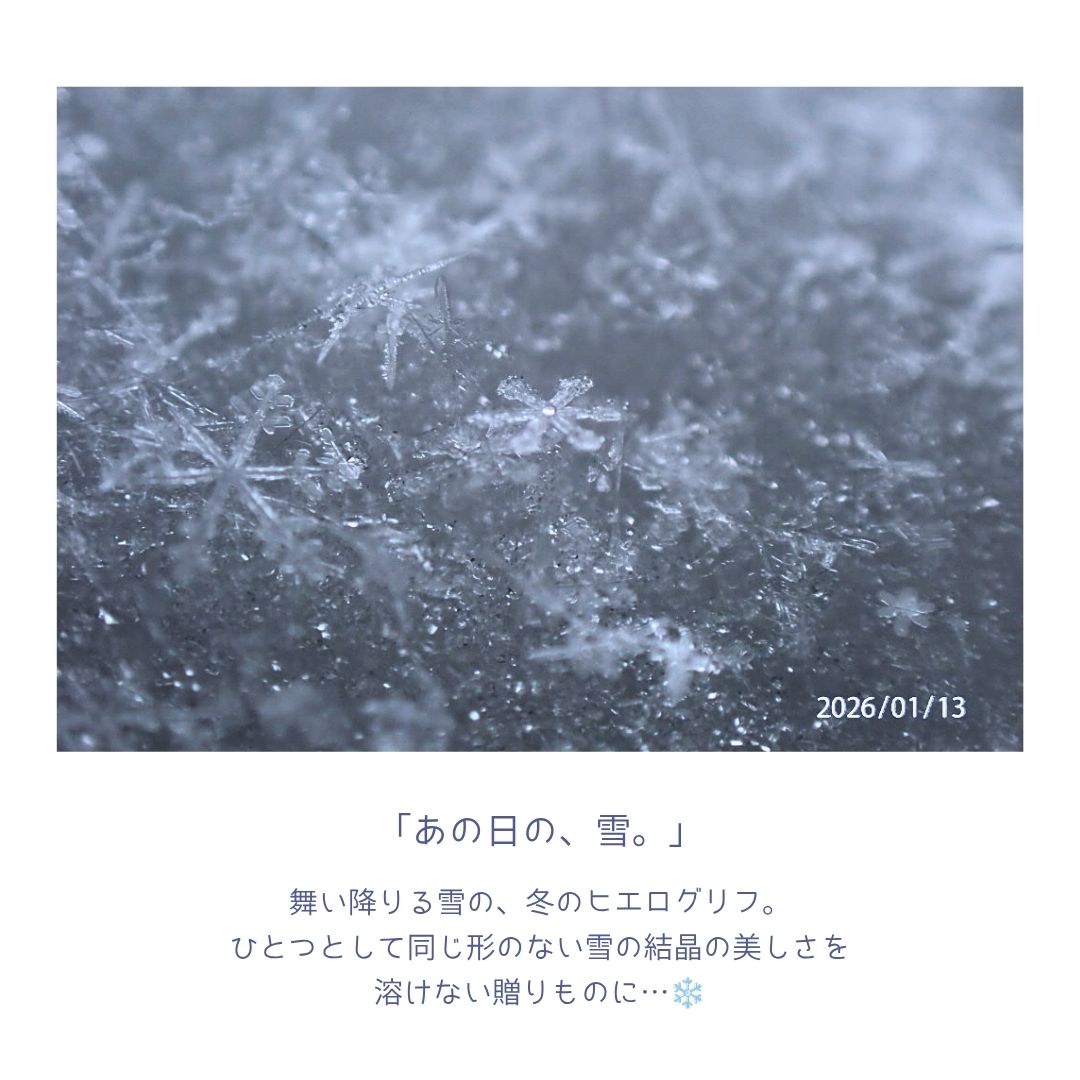 宙からの贈りもの