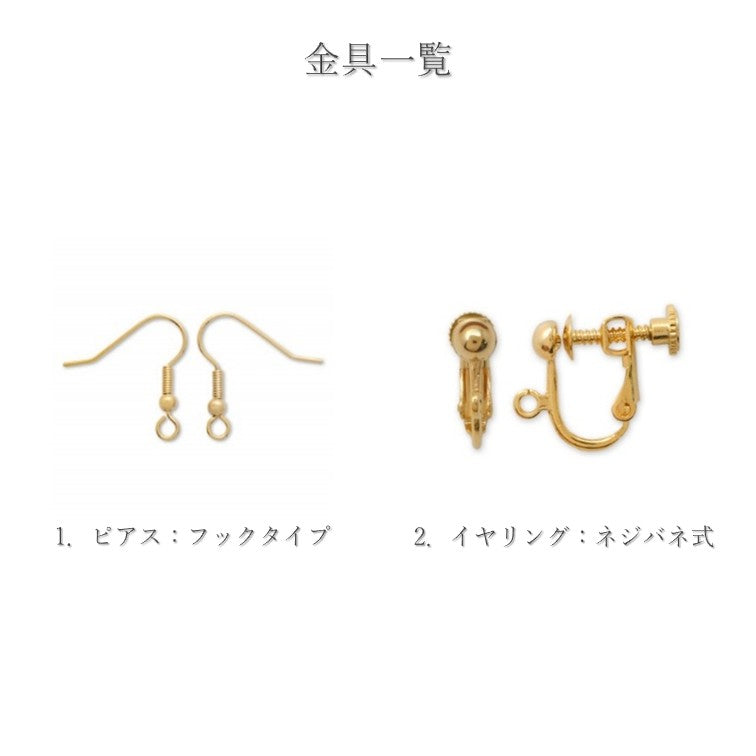 THE STAR-Silver（Ear accessory）