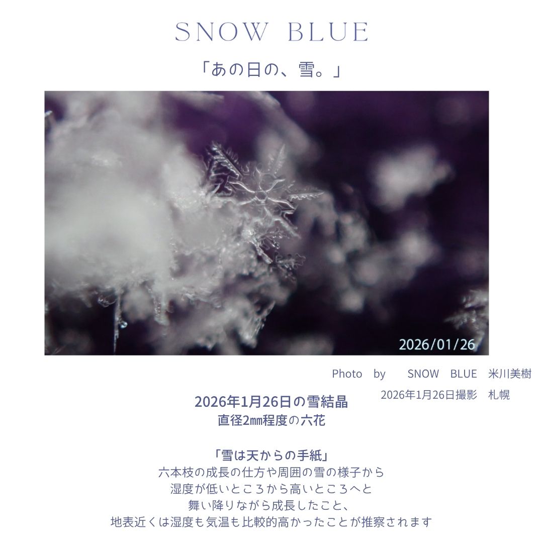 雪夜のKAKERA　ピンブローチ