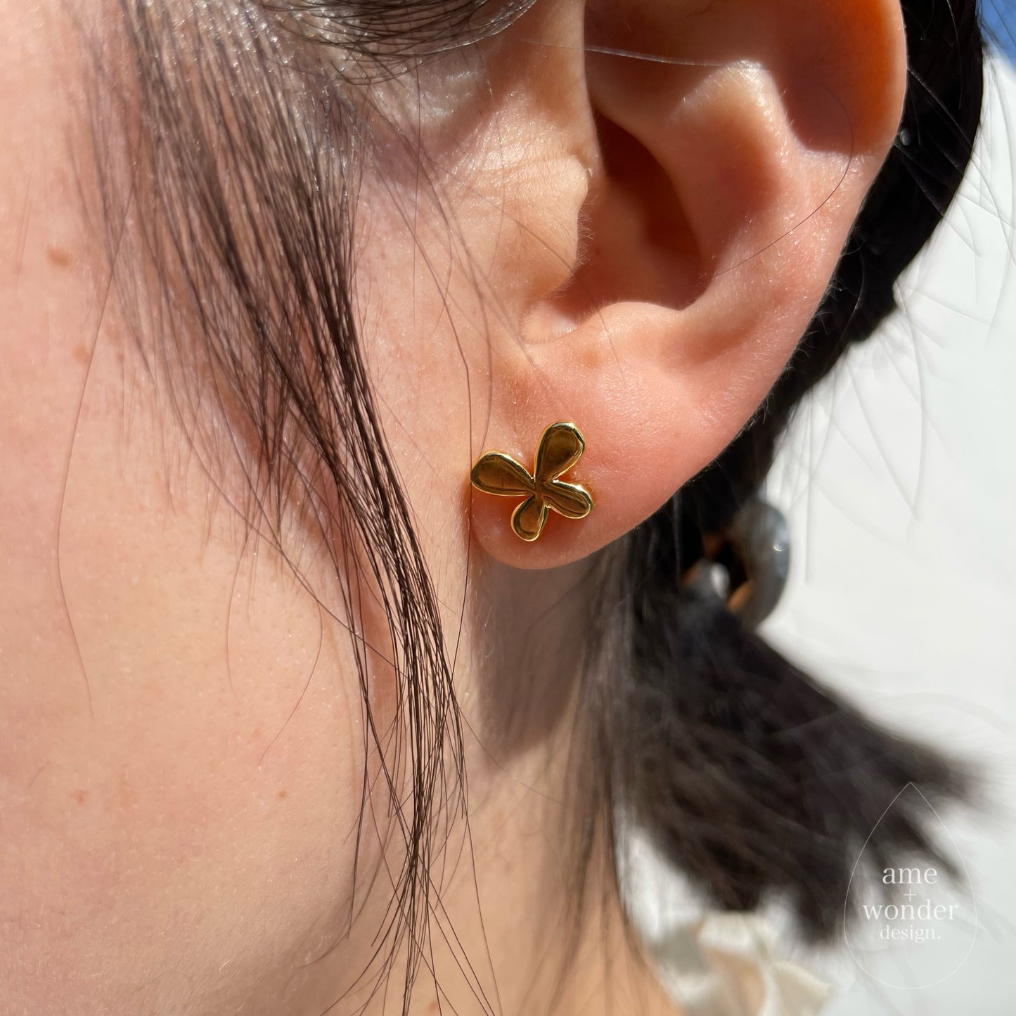 ten ki ame. / Pierce.