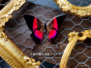YSL　イヴサンローラン　ブローチ　蝶　バタフライ 夕焼け蝶のブローチ – 宙フェス夜市